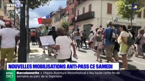 Manifestations anti-pass sanitaire: cinq rassemblements dans les Alpes-du-Sud