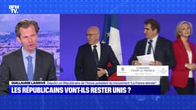 Les Républicains vont-ils rester unis ? - 06/12