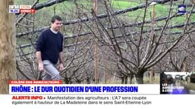 Colère des agriculteurs dans le Rhône: un producteur de cerises dénonce des conditions de travail de plus en plus difficiles