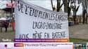 Deux-Sèvres: nouvelle manif anti-bassines prévue demain 