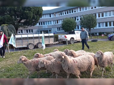 Une action des agriculteurs a eu lieu ce 17 avril 2024 devant les locaux de la Direction départementale des territoires (DDT) de Digne-les-Bains (Alpes-de-Haute-Provence)