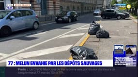 Seine-et-Marne: les dépôts sauvages se multiplient à Melun