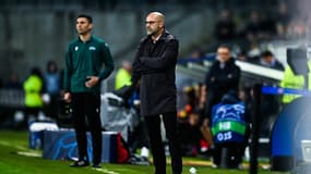 Peter Bosz lors du match Lens-PSV Eindhoven (1-1) en Ligue des champions, le 24 octobre 2023