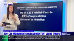 Musée du Louvre, château de Versailles...Ces monuments qui vont augmenter leurs prix en 2024