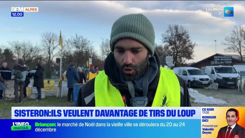 Sisteron: les agriculteurs se mobilisent après avoir atteint le seuil de tirs du loup