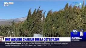 Côte d'Azur: des températures élevées attendues dans les prochains jours