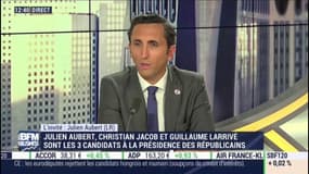 Les Républicains: Julien Aubert ne veut "pas d'alliances" avec LREM ni avec le RN