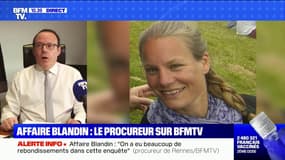 Affaire Magali Blandin: le procureur de Rennes "assume publiquement" d'avoir classé la plainte de la victime pour violences conjugales