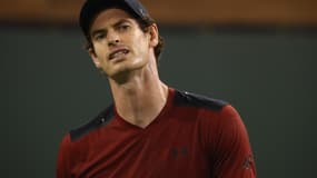 Andy Murray 