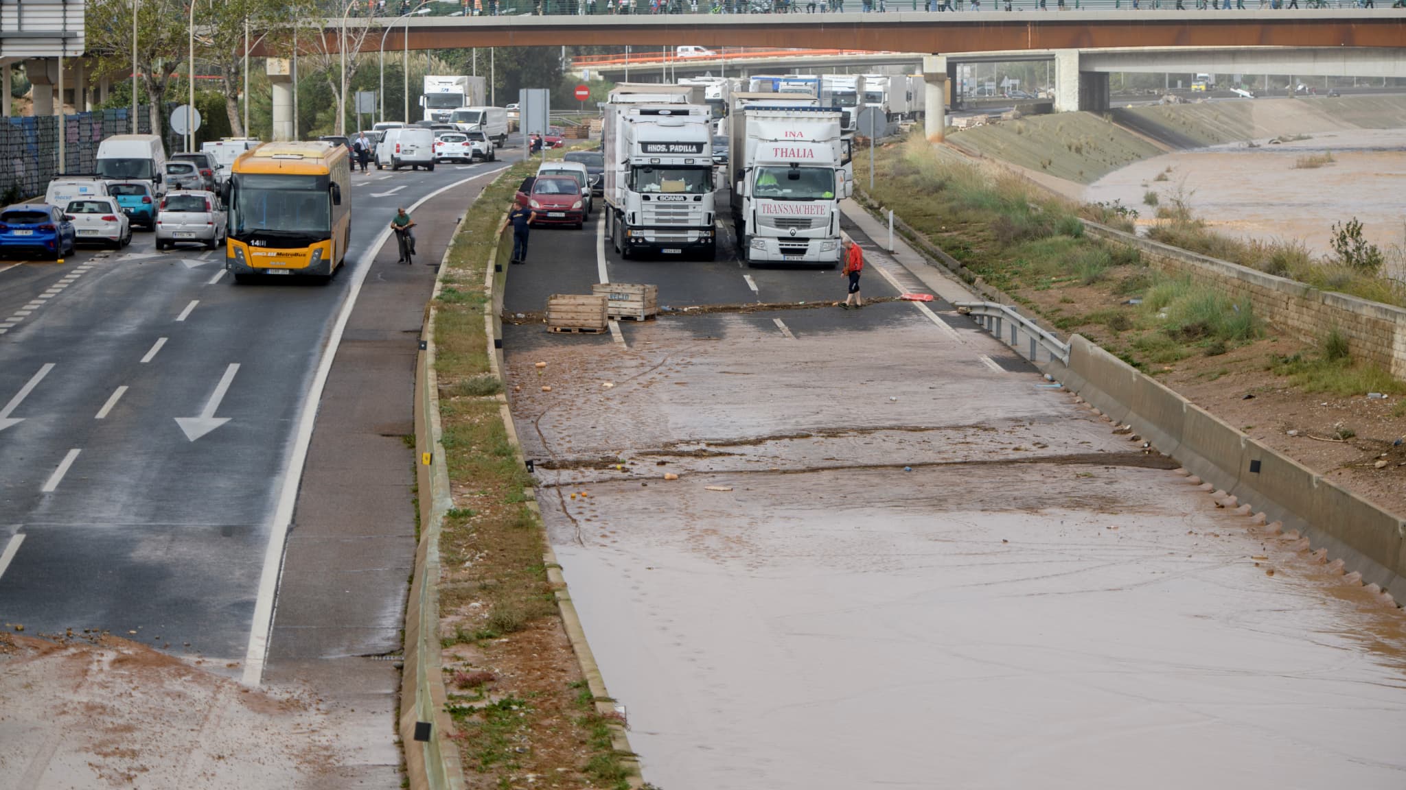 Des camions sont bloqués alors que la circulation est coupée à la suite d'inondations dans le quartier De La Torre de Valence, dans l'est de l'Espagne, le 30 octobre 2024.