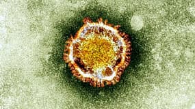 Le coronavirus vu au microscope.