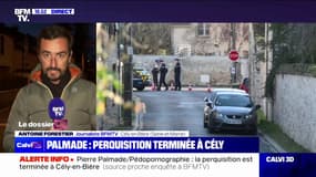 Enquête pour détention d'images pédopornographiques: perquisition terminée au domicile de Pierre Palmade, à Cély-en-Bière