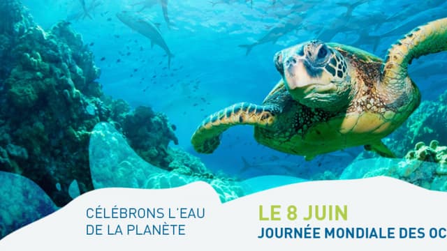 Mercredi a lieu la Journée mondiale des océans.