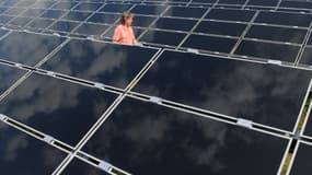 Les capacités en solaire ont augmenté en 2013, mais l'installation des panneaux a coûté moins cher.