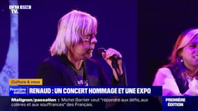 20 chansons de Renaud illustrées par des artistes contemporains dans une exposition intitulée "Des mots et des images" au profit de l'Unicef