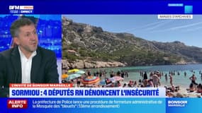 Marseille: Franck Allisio dénonce une "montée de l'insécurité" dans la calanque de Sormiou
