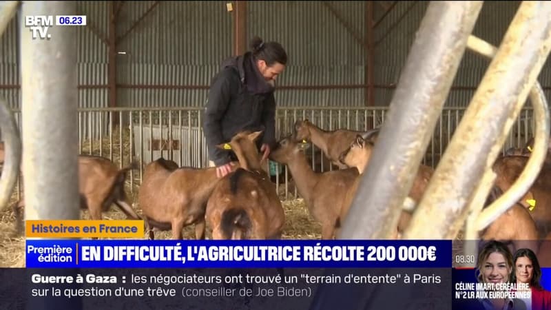 L'éleveuse de chèvres, Delphine, récolte 200.000 euros et sauve son élevage