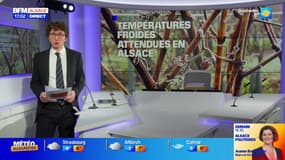 Alsace: les températures devraient rester froides dans les prochains jours