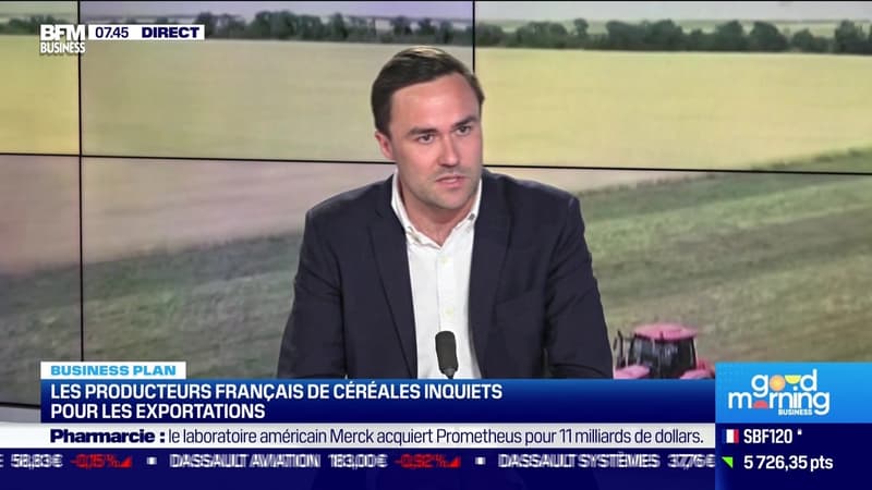 Arthur Portier (Agritel) : Les producteurs français de céréales inquiets pour les exportations - 17/04