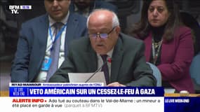 Conseil de sécurité de l'ONU: les États-Unis rejettent un "cessez-le-feu non durable" à Gaza