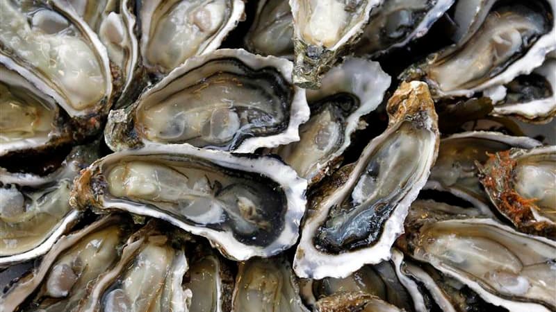 Gendarmes et fonctionnaires de l'administration maritime redoublent de vigilance aux abords des parcs ostréicoles de Beauvoir-sur-Mer (Vendée), près de l'île de Noirmoutier, pour lutter contre les vols d'huîtres à la veille des fêtes. /Photo d'archives/RE