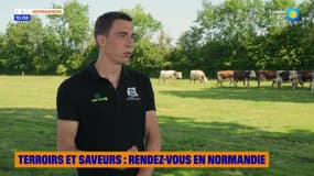 Terroirs et saveurs, rendez-vous en Normandie - Lundi 30 juin 2025