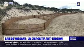 Baie de Wissant: quel bilan pour le dispositif anti-érosion?