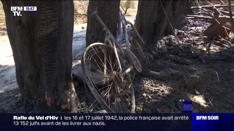 Bouches-du-Rhône: après l'incendie de Tarascon, les habitants constatent les dégâts