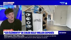 Top Sorties Marseille du vendredi 21 octobre 2022 - "Les éléments" de Chloe Kelly Miller exposés