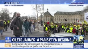 Treizième samedi de mobilisation des gilets jaunes (2/2)