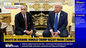 Droits de douane: Donald Trump évoque "un conflit commercial naturel" avec le Canada