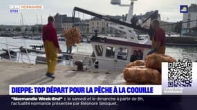Dieppe: ouverture de la saison de la pêche à la coquille Saint-Jacques