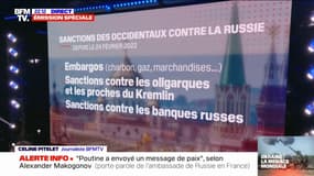 Russie: le point sur les sanctions de l'Occident et les contre-sanctions du Kremlin