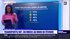 Île-de-France: une nette amélioration de la ponctualité des transports en février