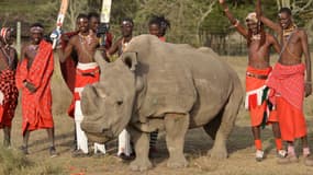 Sudan photographié en juin 2017 avec des guerriers Maasaï, au Kenya.