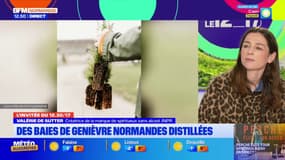 Dry January: le principe de la distillation sans alcool