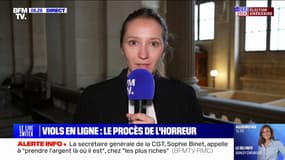 Procès des viols en ligne: "Mon client reconnaît l'entièreté des faits", assure l'avocate de l'accusé