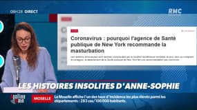 "Vous êtes votre partenaire sexuel le plus sûr"  Pour vous protéger du covid, le département de la santé vous recommande de ... vous masturber