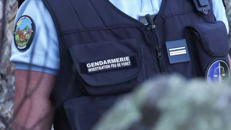 INFO BFMTV. Incendies en France: 375 personnes, dont 142 mineurs, interpellées
