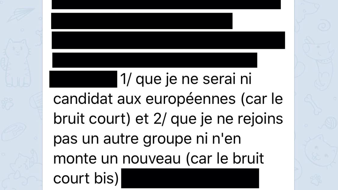 Message What's App du député Matthieu Orphelin Message What's App du député Matthieu Orphelin