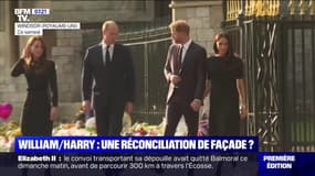 William et Harry: une réconciliation de façade?