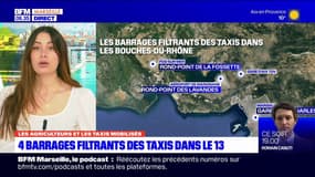 Bouches-du-Rhône: quatre barrages filtrants mis en place par les chauffeurs de taxi