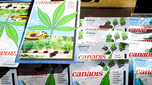 Un stand de vente de graines de cannabis.