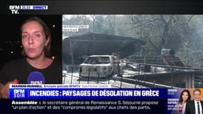 Incendies en Grèce: "Plus de front actif", d'après les autorités