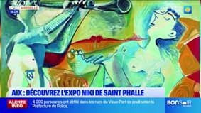 Découvrez l'expo Niki de Saint Phalle à Aix-en-Provence
