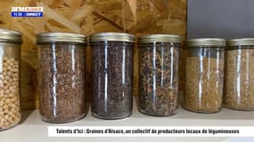 Talents d'ici : Graines d'Alsace, un collectif de producteurs locaux de  légumineuses