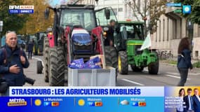 Strasbourg: les agriculteurs se mobilisent contre le R-Pass, une taxe visant les poids lourds