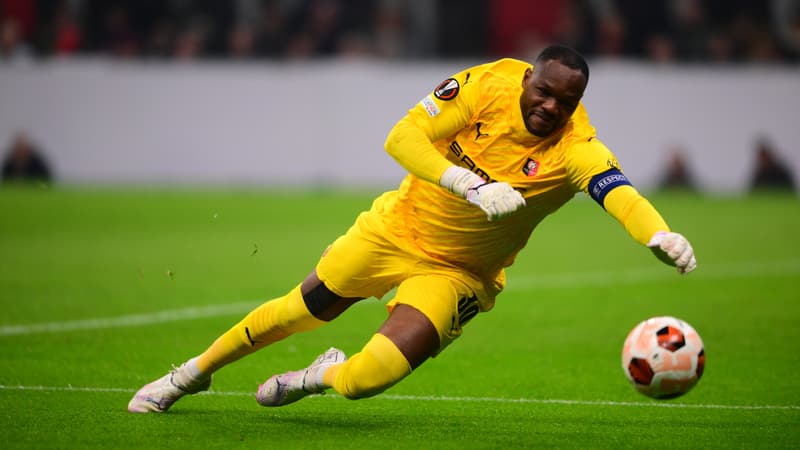 Steve Mandanda - Rennes