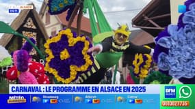 Alsace: le programme des carnavals de 2025
