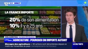 Agriculture : Pourquoi on importe autant - 29/01